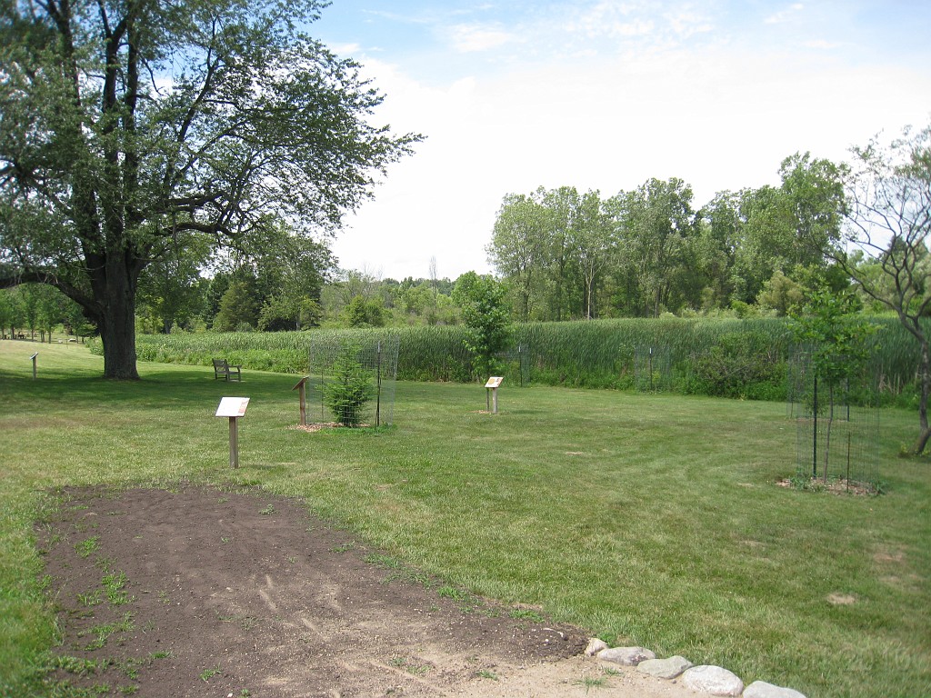 Matthaei Botanical Gardens 2010 0185.jpg - Matthaei Botanical Gardens in Ann Arbor Michigan has several miles of trails that can be enjoyed year round.